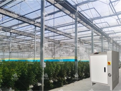 מערכת ערפל קירור חממה