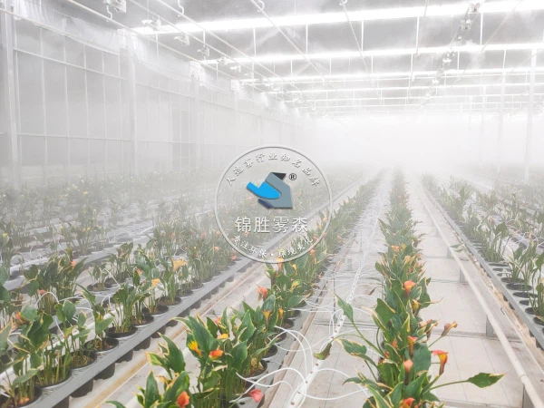 מערכת ערפול חממה סוהר